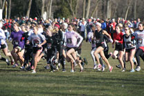 2008-11-29_12-51-42.jpg