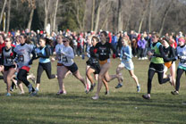 2008-11-29_12-51-44.jpg