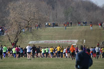 2008-11-29_12-52-27.jpg