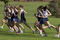 2008-10-14_16-26-47.jpg