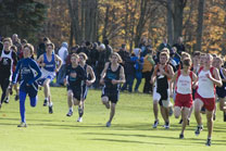 2008-10-21_15-57-33.jpg