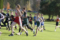 2008-10-21_15-57-44.jpg