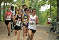 2008-10-11_10-59-03.jpg