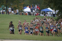 2008-10-11_11-59-01.jpg