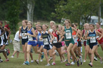 2008-10-11_11-59-11.jpg