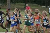 2008-10-11_11-59-14.jpg