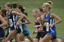 2008-10-11_11-59-20.jpg