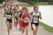 2008-10-11_12-02-44.jpg