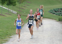 2008-10-11_12-06-51.jpg