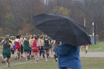 2008-10-25_11-36-53.jpg