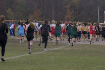 2008-10-25_11-36-56.jpg