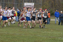 2008-10-25_11-05-36.jpg