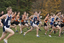 2008-10-25_11-05-39.jpg