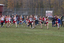 2008-10-25_12-48-39.jpg