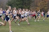2008-10-25_12-48-44.jpg