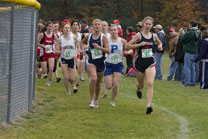 2008-10-25_12-50-41.jpg