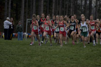 2008-10-24_16-27-13.jpg