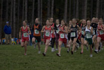 2008-10-24_16-27-14.jpg