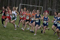 2008-10-24_16-27-24.jpg