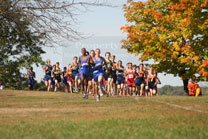 2008-10-11_11-30-35.jpg