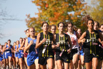 2008-10-11_12-11-35.jpg