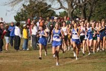 2008-10-11_10-44-03.jpg