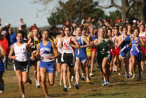 2008-10-11_10-44-06.jpg