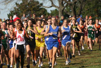2008-10-11_10-44-13.jpg