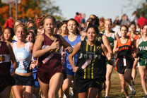 2008-10-11_10-44-19.jpg