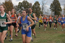2008-10-25_11-03-45.jpg