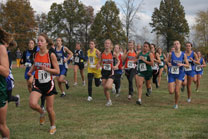 2008-10-25_11-03-46.jpg