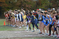 2008-10-25_12-16-41.jpg