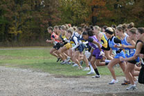 2008-10-25_12-16-42.jpg
