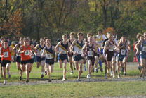 2008-10-25_10-42-59.jpg