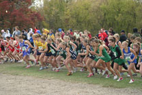 2008-10-25_13-40-40.jpg