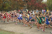 2008-10-25_13-40-41.jpg