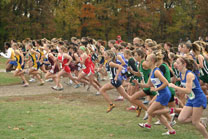 2008-10-25_13-40-42.jpg