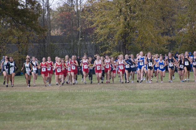2008-10-25_11-33-41.jpg