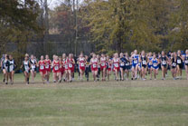 2008-10-25_11-33-41.jpg