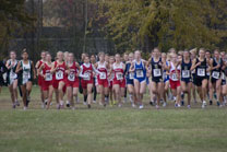2008-10-25_11-33-45.jpg