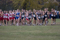 2008-10-25_11-33-46.jpg