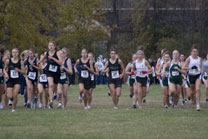 2008-10-25_11-33-47.jpg