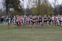 2008-10-25_11-33-51.jpg
