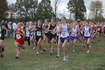 2008-10-25_11-34-31.jpg