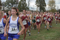 2008-10-25_11-34-34.jpg