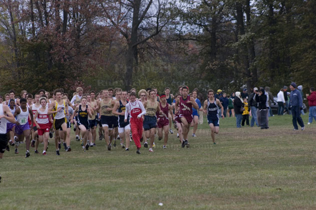 2008-10-25_12-03-53.jpg