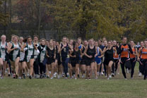 2008-10-25_12-34-23.jpg