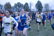 2008-10-25_12-35-08.jpg