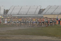 2008-11-01_14-01-06.jpg