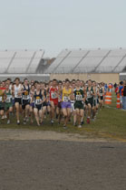 2008-11-01_14-01-14.jpg